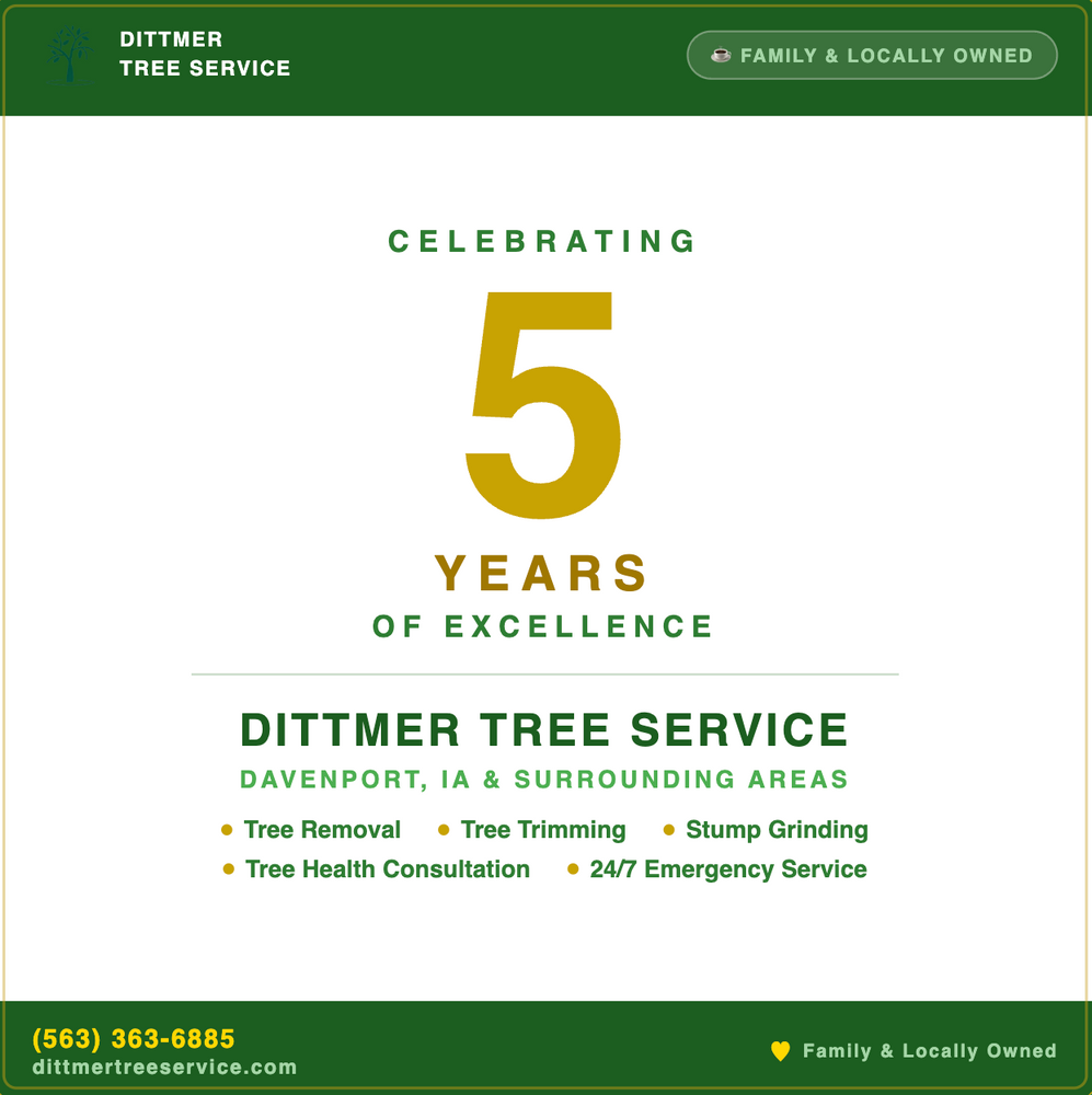 All Photos for Dittmer Tree Service in Davenport, IA