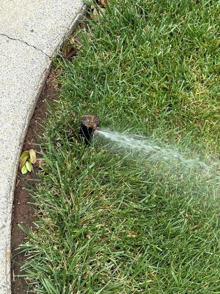 All Photos for The Right Price Right Choice Lawn Care Services in Murfreesboro, TN