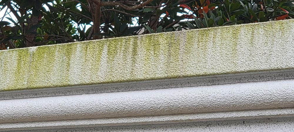 All Photos for Blue Stream Roof Cleaning & Pressure Washing in Tampa, FL