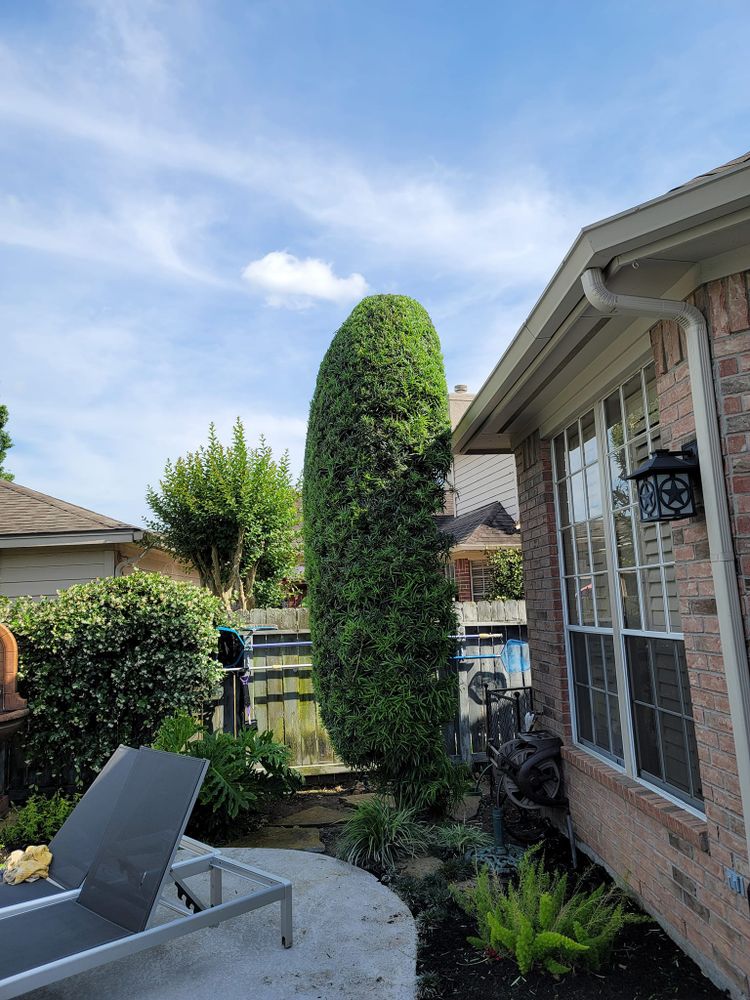 Our Shrub Trimming service expertly shapes and maintains your garden greenery, enhancing curb appeal while ensuring healthy growth. Trust our skilled team for precision care and a beautifully manicured landscape year-round. for Right Choice Landscaping LLC in Houston, TX