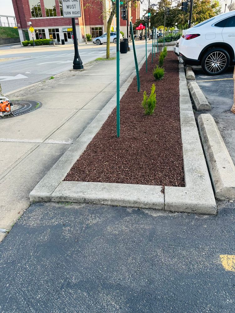 All Photos for Manny's Cleaning,Lawn Care & Snow Removal Services in Champaign, IL