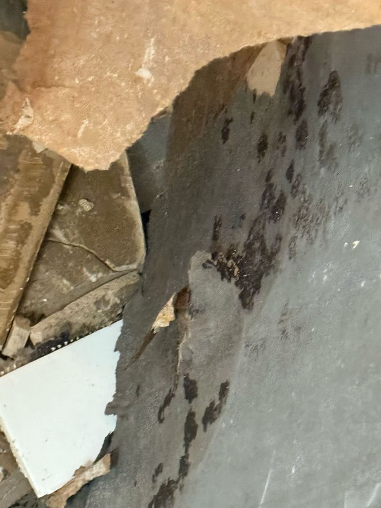 All Photos for N&D Restoration Services When Disaster Attacks, We Come In in Cape Coral,  FL