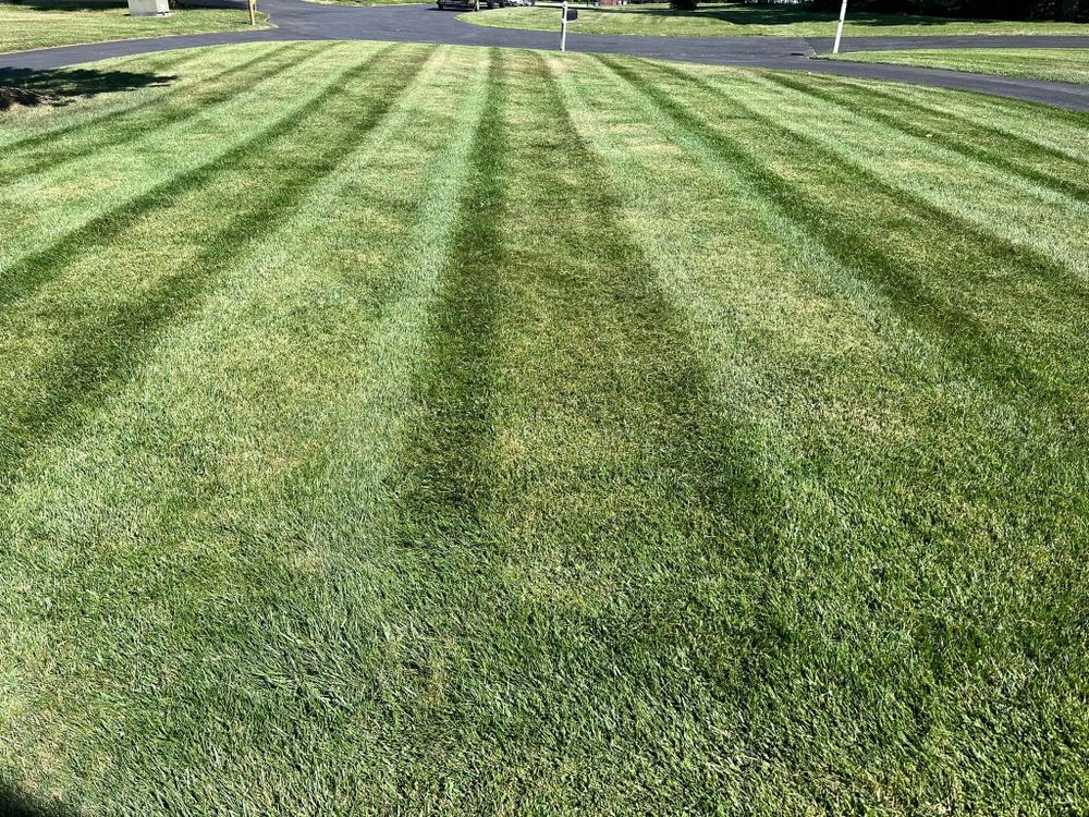 Mowing for Walsh Lawn And Landscape in Olney, MD