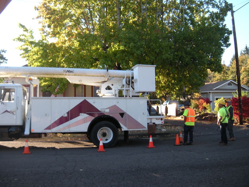 All Photos for Willamette Landscaping and Tree Services in Albany, OR