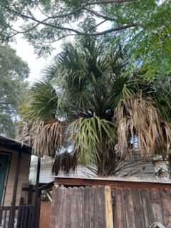 All Photos for Perfect MOs Landscaping in Hudson, FL