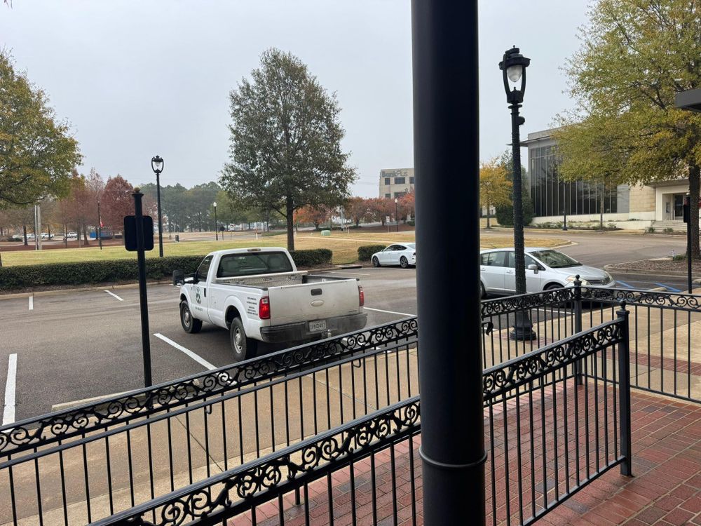 All Photos for Action Tree & Debris Removal in Jackson,  MS