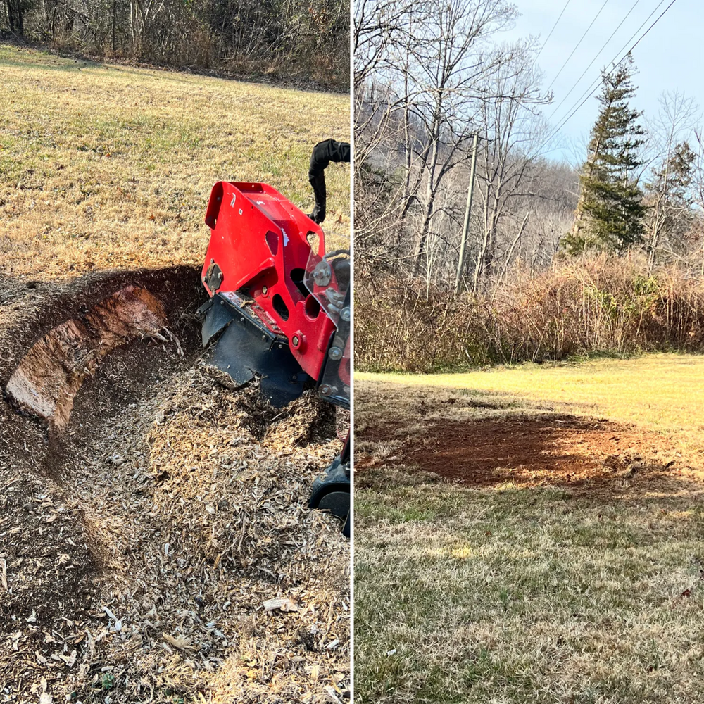 All Photos for Valencia’s Lawncare in Charlottesville, VA