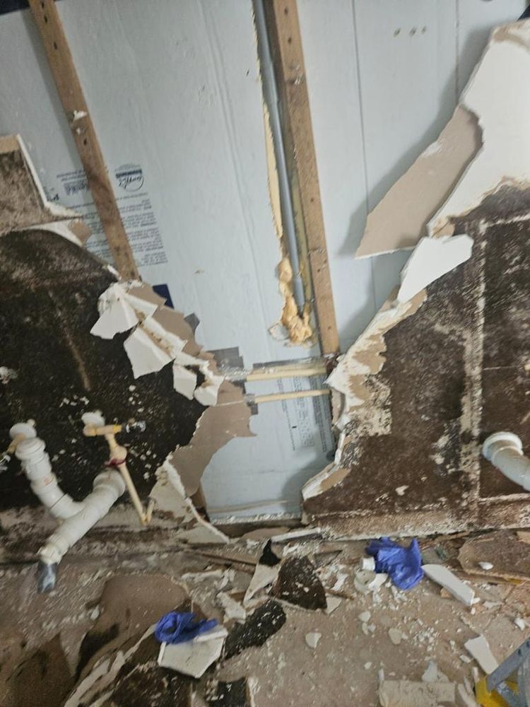 Mold Remediation for N&D Restoration Services When Disaster Attacks, We Come In in Cape Coral,  FL