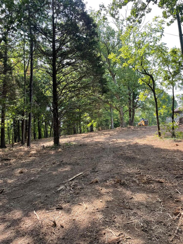 All Photos for JC Land Clearing in Shelbyville, TN