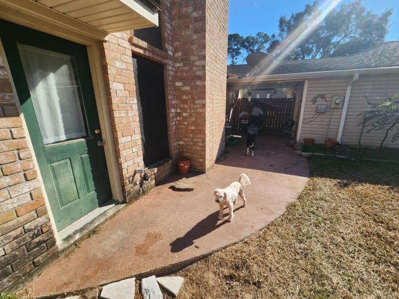 All Photos for Power Pressure Wash in Houston, TX