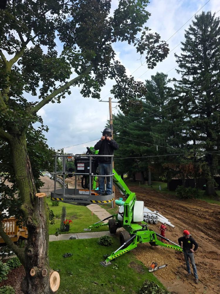 All Photos for Down To Earth Tree Service in Red Wing, MN