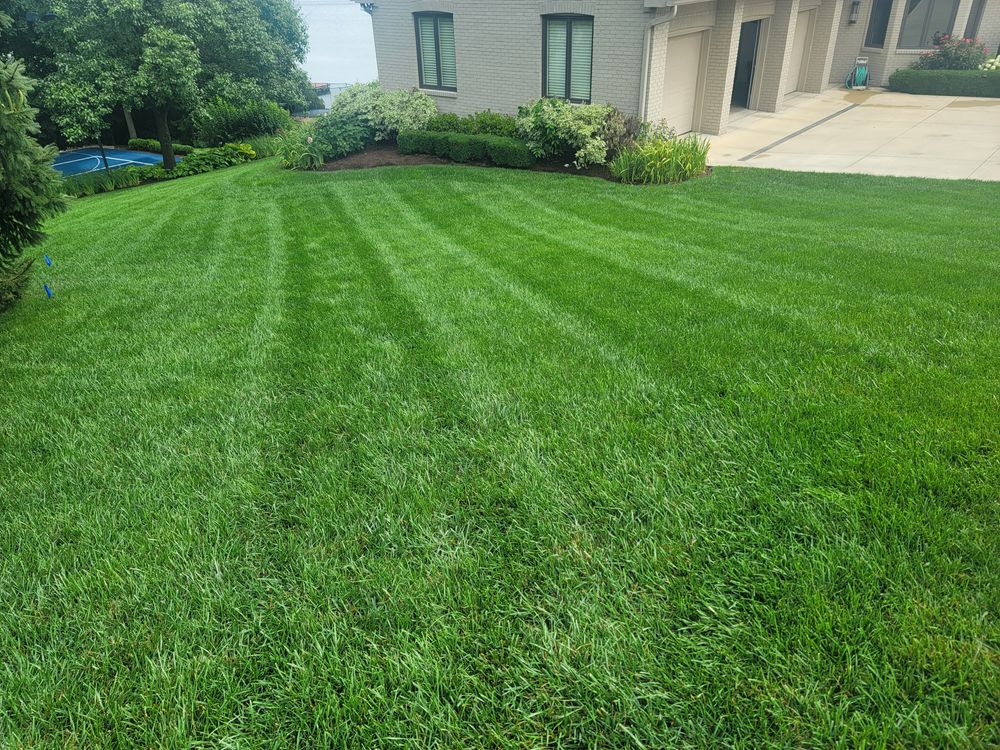 Turf Development and Maintenance  for P.J.E. Lawn Care & Landscaping in Indianapolis, IN