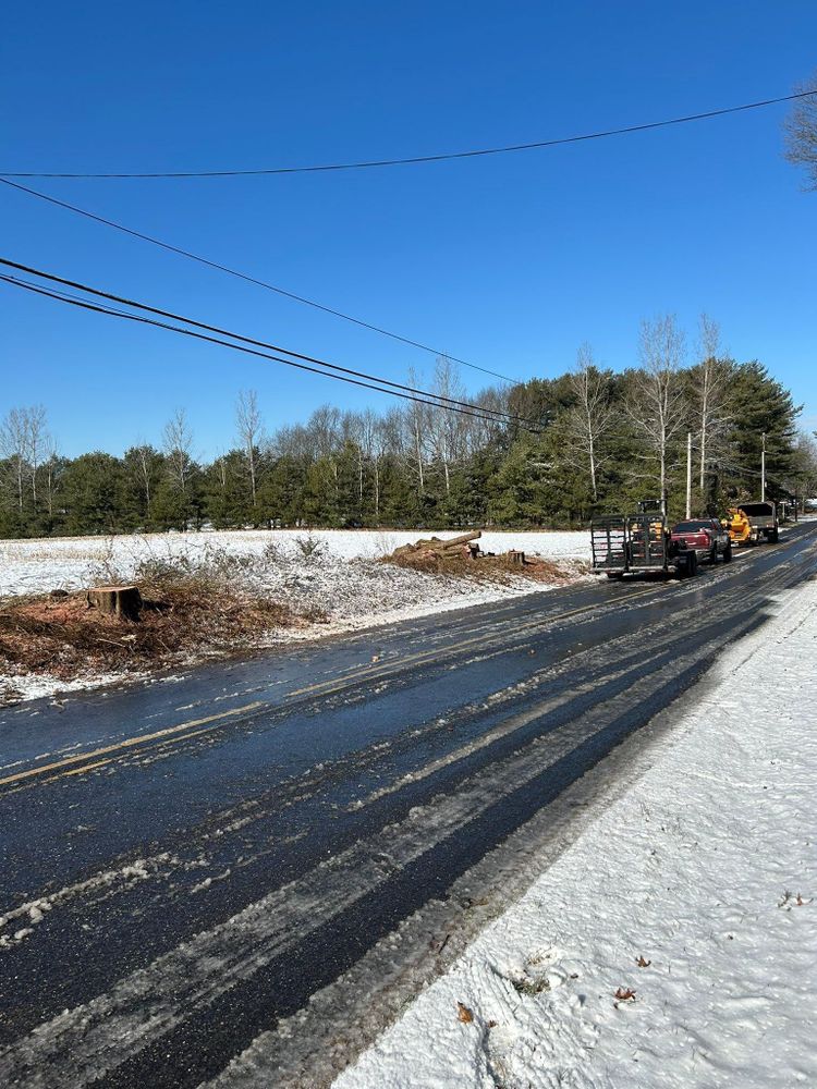 All Photos for Hingewood Tree Service in Salem, NJ