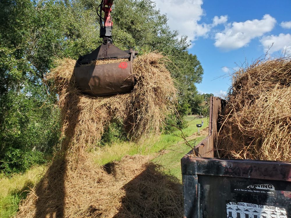 Other Services for Regal Tree Service and Stump Grinding in Wauchula, FL