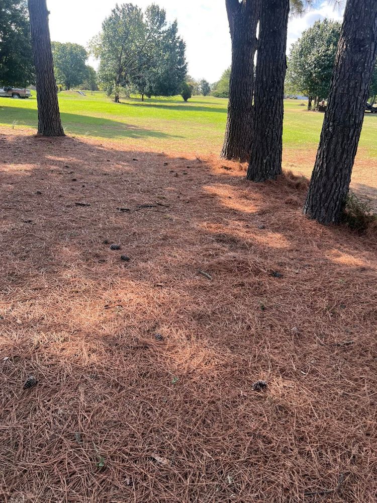 Landscaping  for Zac’s Lawn and Landscaping in Fort Smith, AR