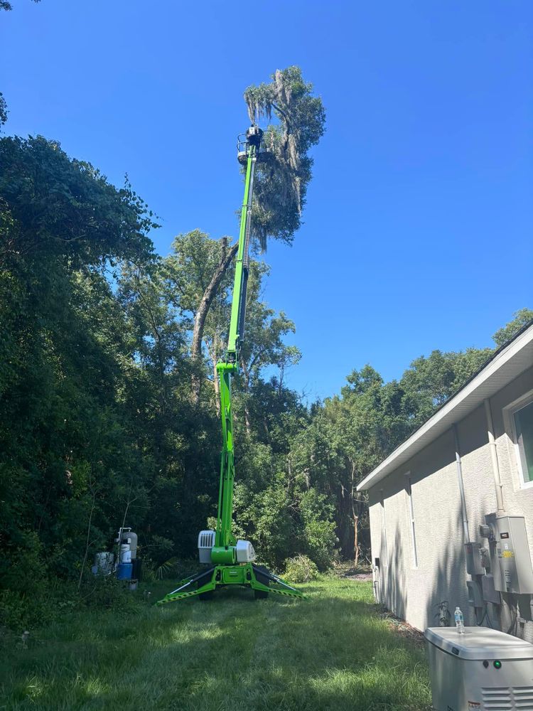 All Photos for McGraw’s Lawn and Tree Service in DeLand, FL