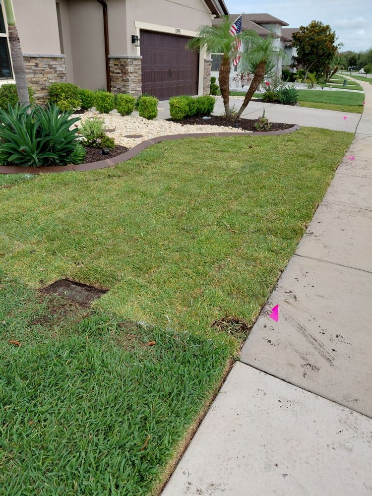 All Photos for Gulf Bay Sod in Clearwater, FL