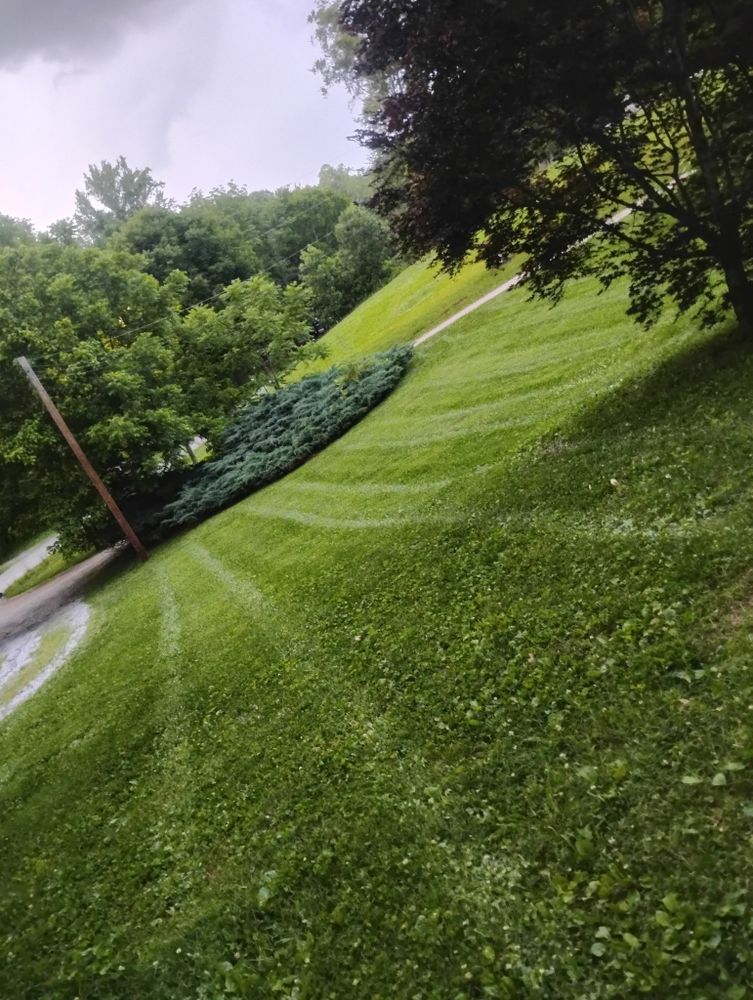 All Photos for Harris Lawn N Landscape in Knoxville, TN