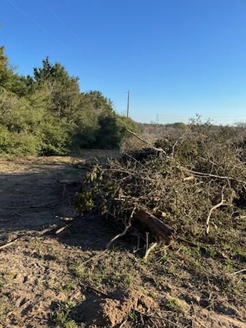 All Photos for Oviedo Land & Garden in Bastrop, TX