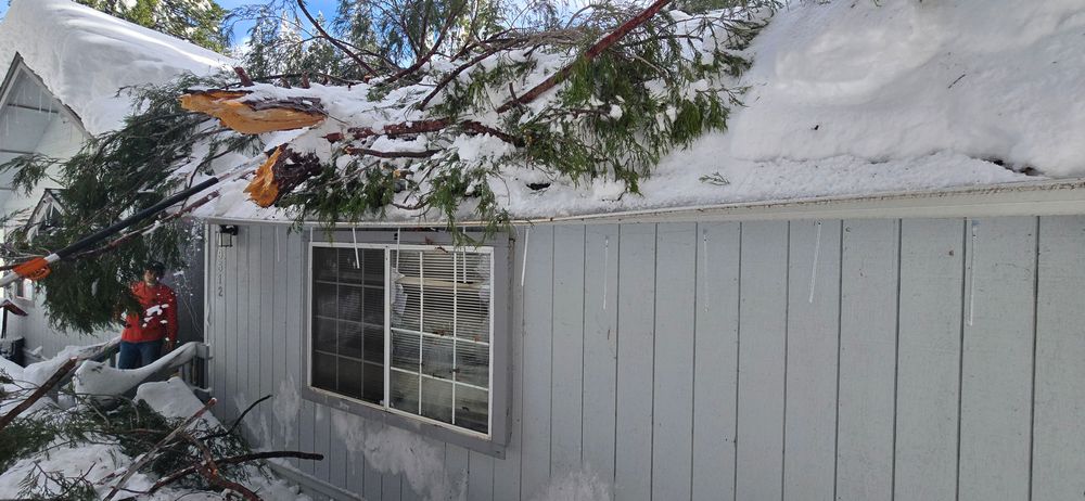 All Photos for George Staddan's Professional Tree Care in Placerville, CA