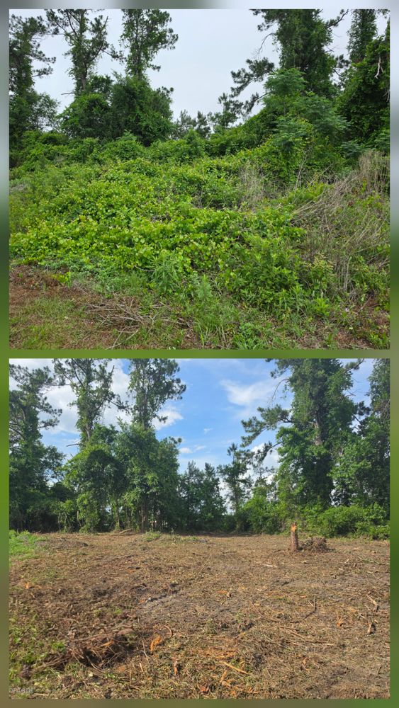 All Photos for Giles Land Management, LLC in Hahira, GA