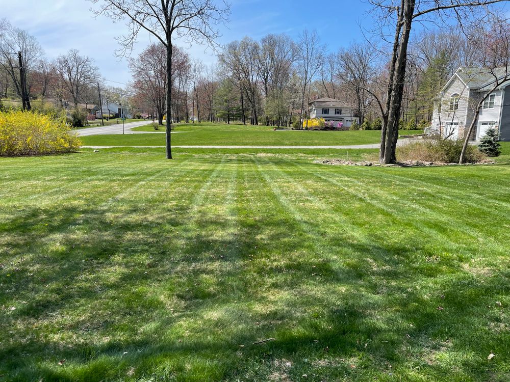 All Photos for Ardisi Property Maintenance LLC in Poughkeepsie, NY 