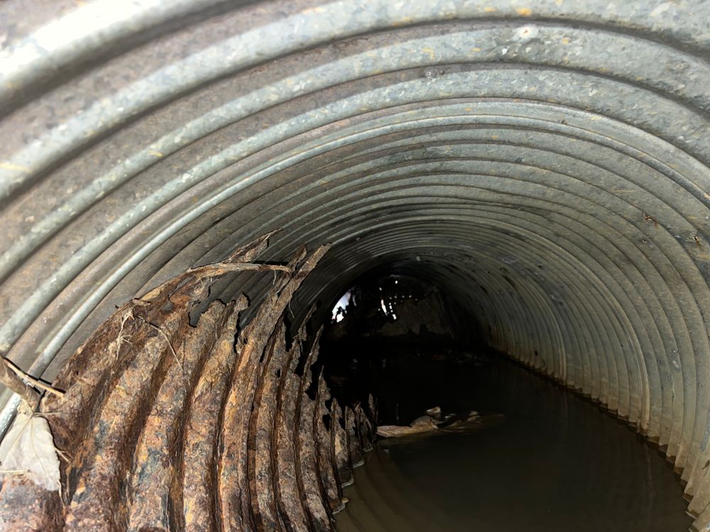 All Photos for Ground To Sky Tree Care in Asheville, North Carolina