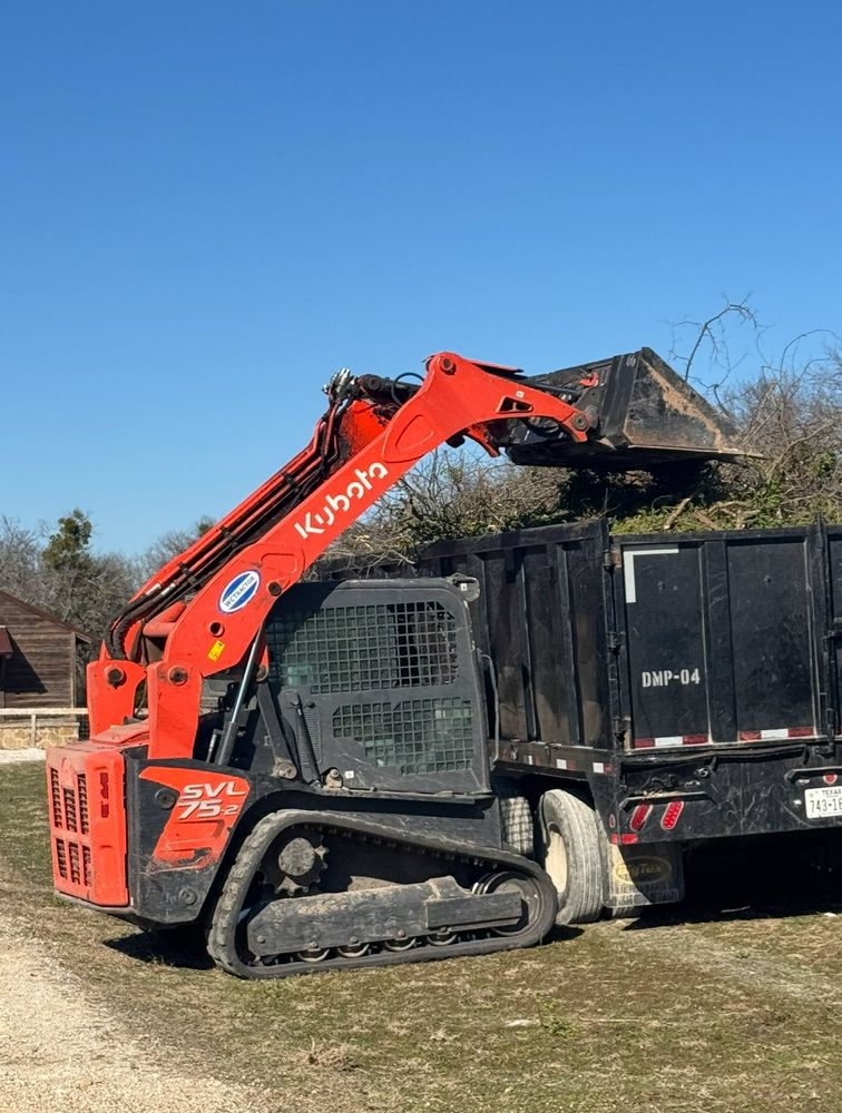 Tree Removal for Superior Lawn and Tree LLC in Clifton, TX