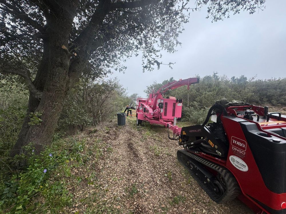 Tree Services for The Tree Fairy in Julian, CA