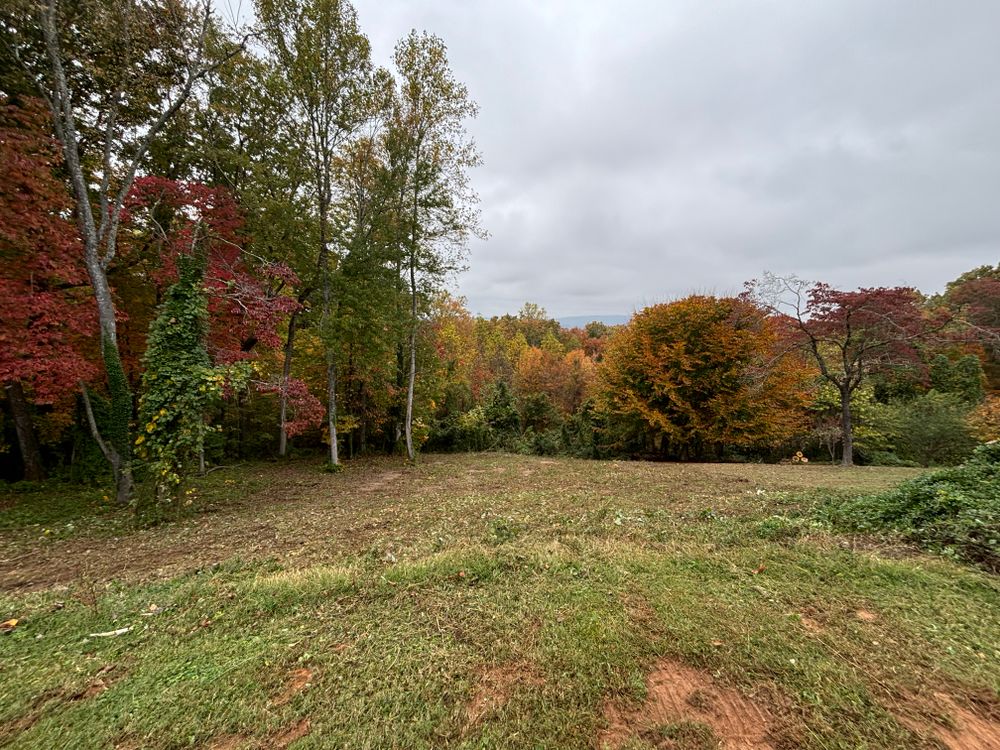 Brush Clearing  for Three Rivers Dirt Works LLC in Knoxville, TN