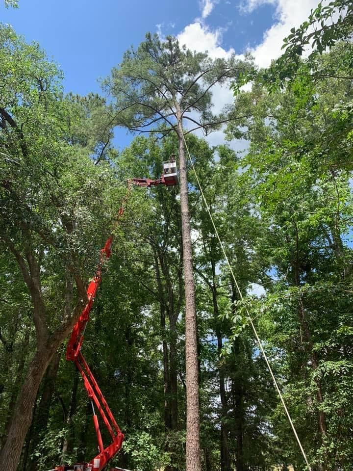 Tree Removal for Coastal Tree & Stump in Charleston, SC