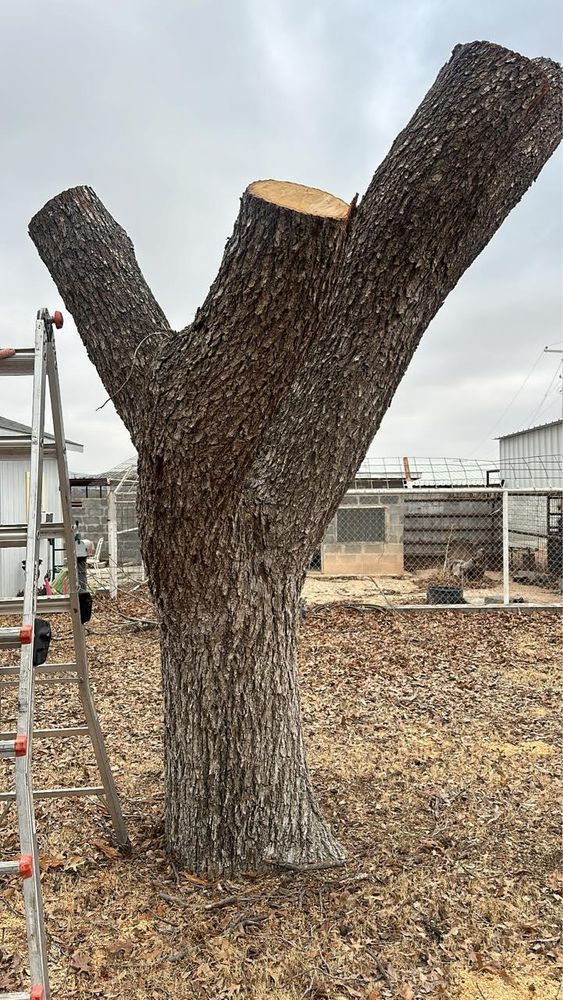 All Photos for Compas Cleanup in McCamey, TX