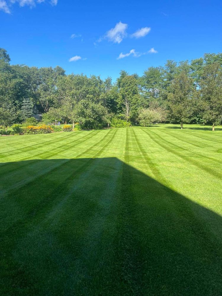 Lawn Mowing for Steed's Lawn and Landscape LLC in White Lake, MI