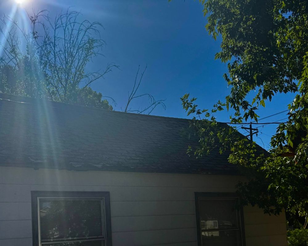 Tree Removal for Ascension Tree Care LLC in Yakima County, WA