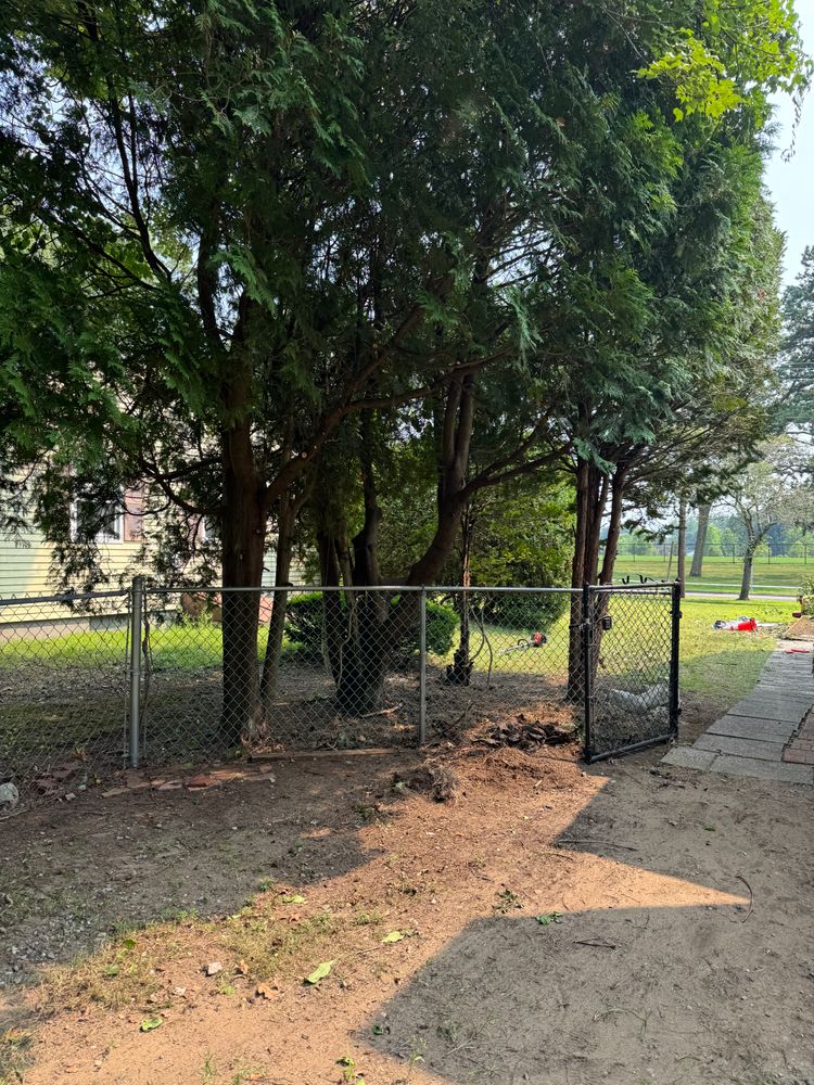 All Photos for Adams Landscaping in Springfield, MA