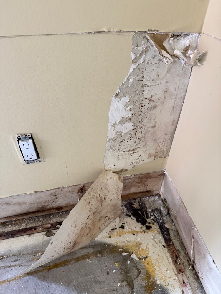 All Photos for N&D Restoration Services When Disaster Attacks, We Come In in Cape Coral,  FL