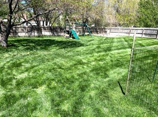 All Photos for Prairieland Lawncare in Wichita, KS