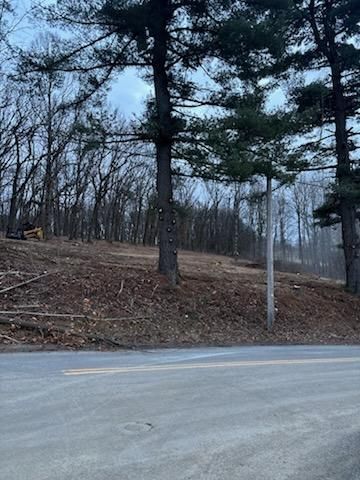 All Photos for JJ Tree Service in Gibsonia, PA