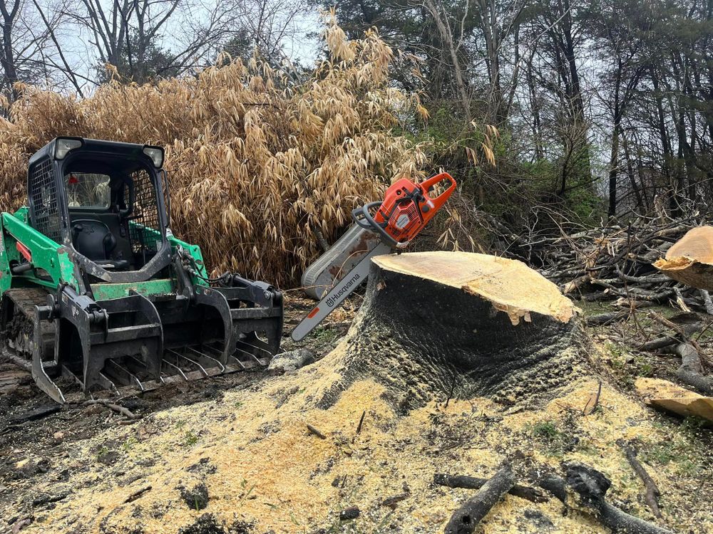 All Photos for Mountainside Property Services LLC in Warrenton, VA