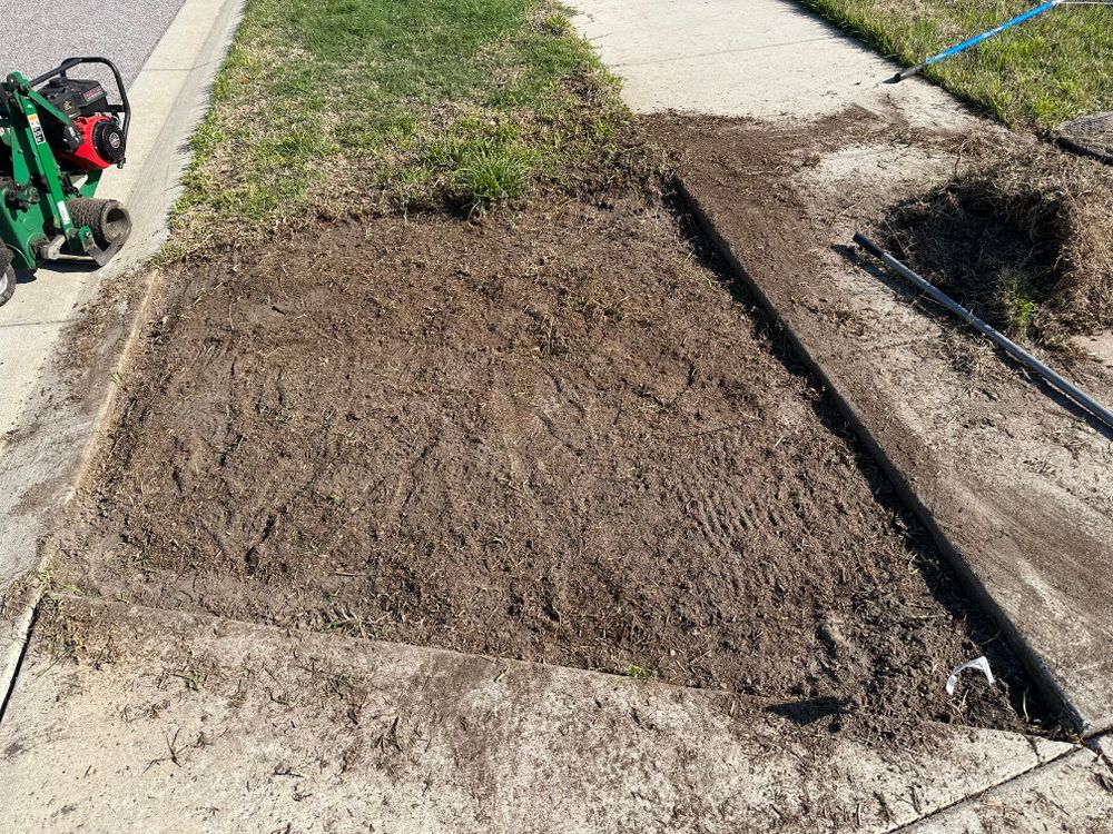 All Photos for Gulf Bay Sod in Clearwater, FL