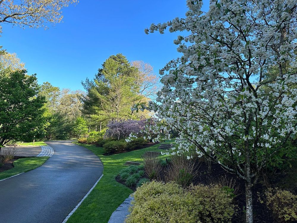 Landscaping for RB Coastal Services in Sandwich, MA