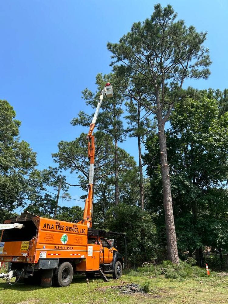 All Photos for Ayla Tree Service in Guyton, GA