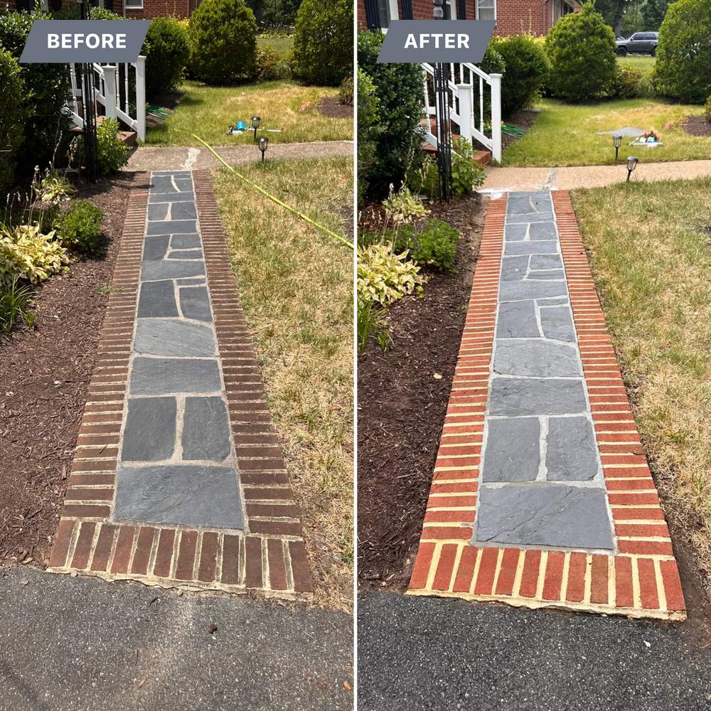 All Photos for LeafTide Solutions in Richmond, VA