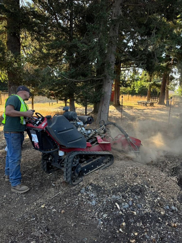 All Photos for Willamette Landscaping and Tree Services in Albany, OR