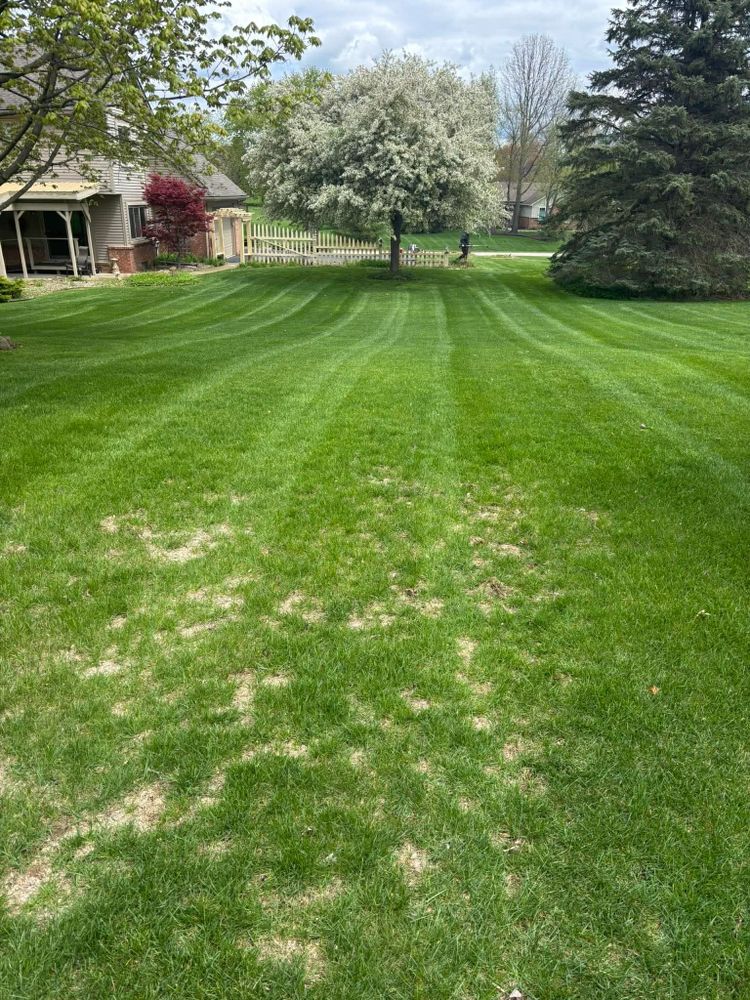 All Photos for Steed's Lawn and Landscape LLC in White Lake, MI