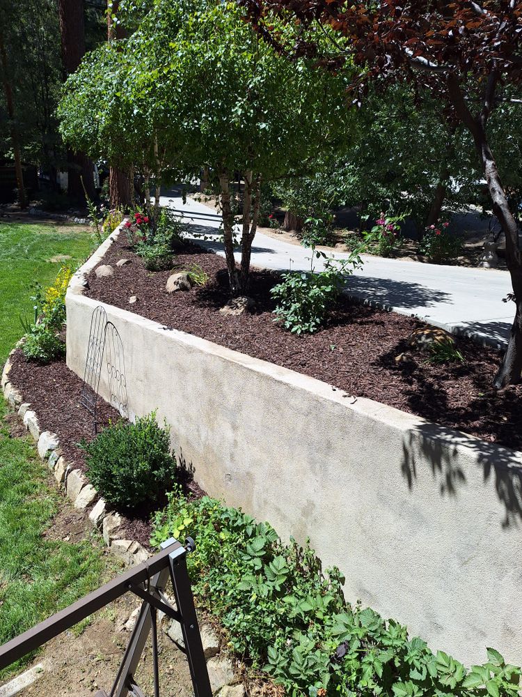 All Photos for Best Lawncare in Colton, CA