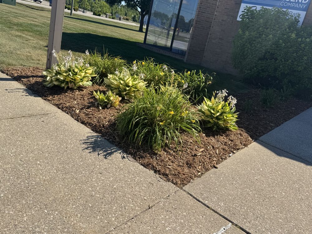 Landscaping Lawn Care for Daugherty's Tough Lawn Care in Essexville, MI