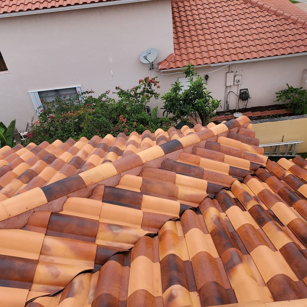 Pressure Washing for Zero Pressure Roof Cleaning INC in West Palm Beach, FL