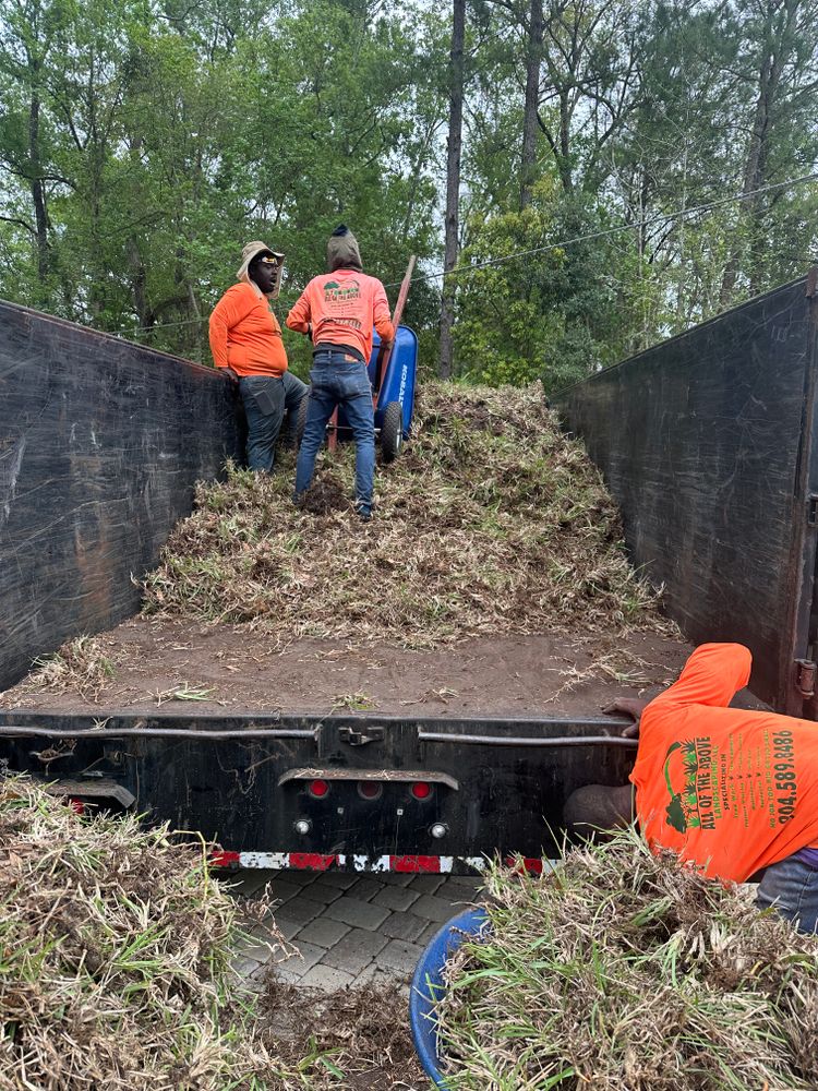 All Photos for All of the Above Landscaping in Orange Park, FL