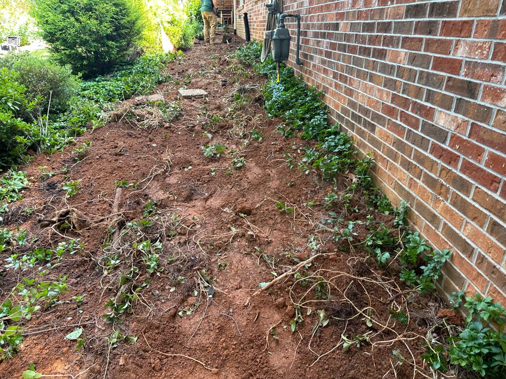 All Photos for Rescue Grading & Landscaping in Marietta, SC